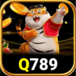 Q789 Game