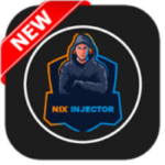 Nix Injector