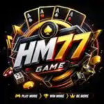 HM77 Game