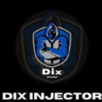 DIX Injector